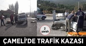 Çameli’de Trafik Kazası