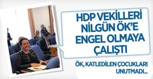 HDP Vekilleri Nilgün Ök’e Engel Olmaya Çalıştı, Ök Çocukları Unutmadı