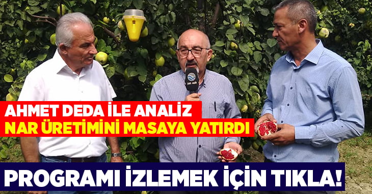 Ahmet Deda ile Analiz, Nar üretimini masaya yatırdı