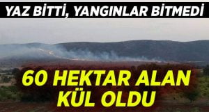 Denizli’de anız yangınında 60 hektar alan zarar gördü