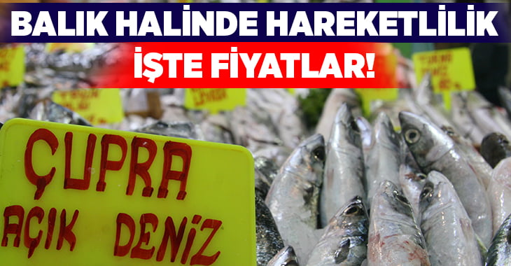 Denizli Balık Hali hareketli, İşte balık fiyatları!