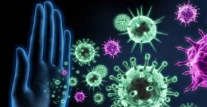 Bağışıklık Sistemi Nasıl Güçlenir? Bağışıklık Sistemini Güçlendirecek 6 Önemli Besin