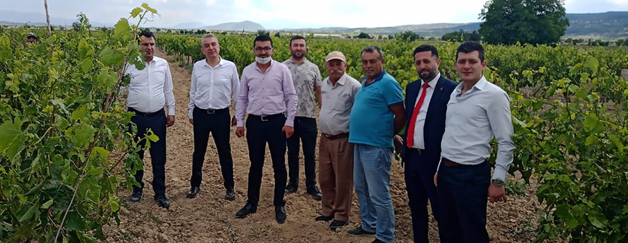 CHP genel merkezi görevlendirdi, Vekil Başevirgen doğal afette zarar gören tarım arazilerini inceledi