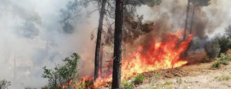 Acıpayam’da büyük orman yangını.. 3 evin yandığı iddia edildi!