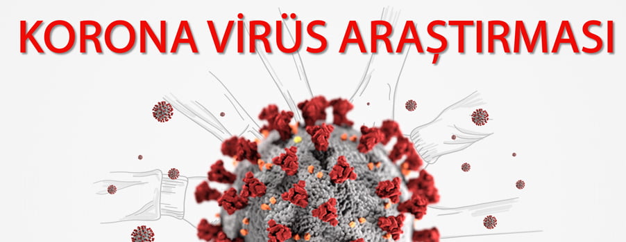 17 şehirden 21 araştırmacı koronavirüsün halk üzerindeki etkisini araştırdı