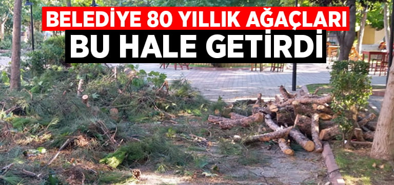 Buldan’da 80 yıllık ağaçlar kesildi