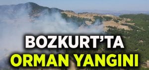 Denizli’nin Bozkurt ilçesinde orman yangını