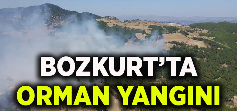 Denizli’nin Bozkurt ilçesinde orman yangını