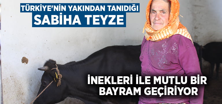Türkiye’nin yakından tanıdığı Sabiha Teyze inekleri ile mutlu bir bayram geçiriyor