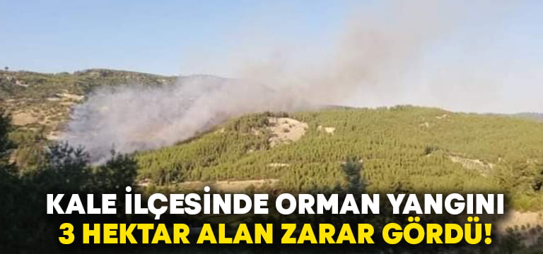 Denizli’de orman yangınında 3 hektar alan zarar gördü