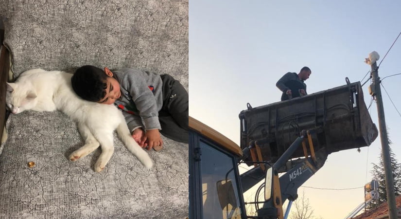 Mahallenin gençleri direkte mahsur kalan kediyi iş makinesiyle kurtardı