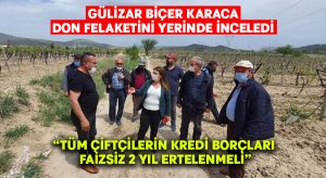 Gülizar Biçer Karaca:”Kredi borçları 2 yıl faizsiz ertelenmeli”
