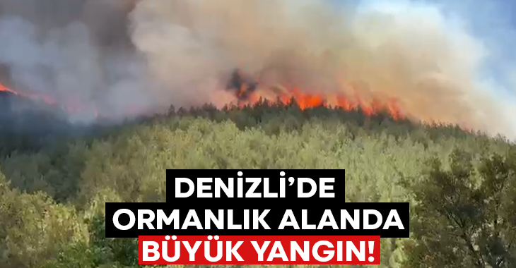Denizli’de ormanlık alanda büyük yangın!