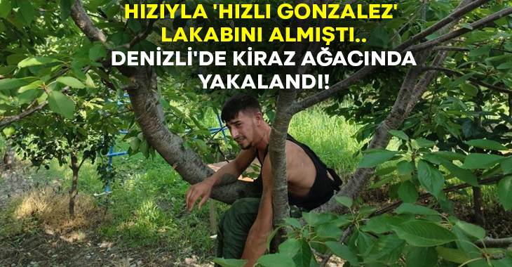 Hızıyla ‘Hızlı Gonzalez’ lakabını almıştı.. Denizli’de kiraz ağacında yakalandı!