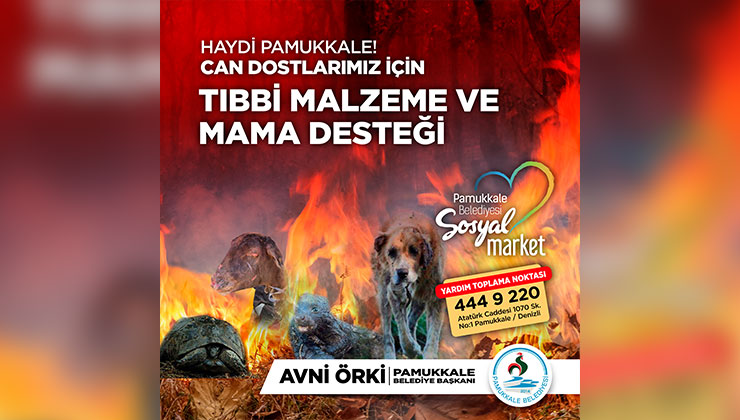 Pamukkale Belediyesi Can Dostları için Kampanya Düzenledi
