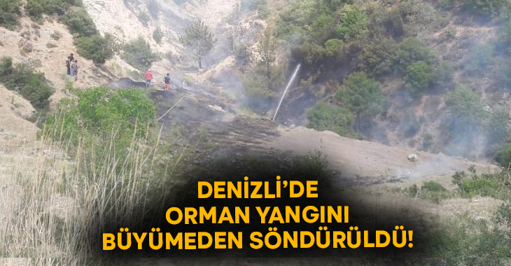 Denizli’de orman yangını vatandaşların desteğiyle kısa sürede söndürüldü!