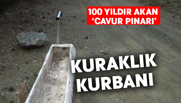 100 yıldır akan ‘Cavur Pınarı’ kuraklık kurbanı