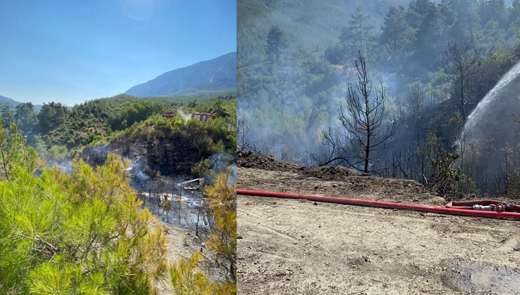 Pamukkale’de orman yangını