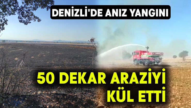 Denizli’de anız yangını 50 dekar araziyi kül etti