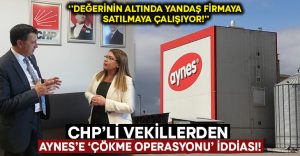 Aynes’in satışı yaklaşırken CHP’li vekillerden ‘Çökme operasyonu’ iddiası geldi!