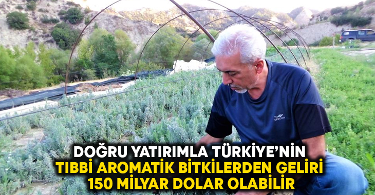 Doğru yatırımla Türkiye’nin tıbbi aromatik bitkilerden geliri 150 milyar dolar olabilir!
