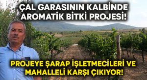 Çal Garası’nın üretim merkezinde Aromatik bitki üretimi projesine şarap işletmecileri ve mahalleden büyük tepki!