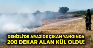 Denizli’de arazide çıkan yangında 200 dekar alan kül oldu!