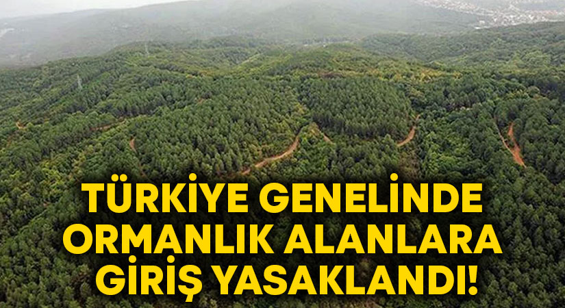 Türkiye genelinde ormanlık alanlara giriş yasaklandı!