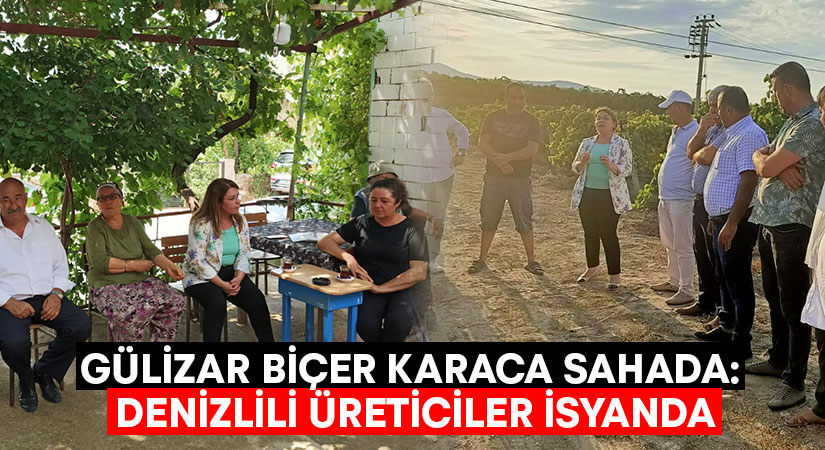 Gülizar Biçer Karaca sahada: Denizlili üreticiler isyanda