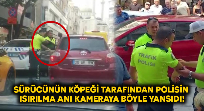 Sürücünün köpeği tarafından polisin ısırılma anı kameraya böyle yansıdı!