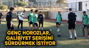 Genç horozlar, Afyonspor karşısında galibiyet serisini sürdürmek istiyor