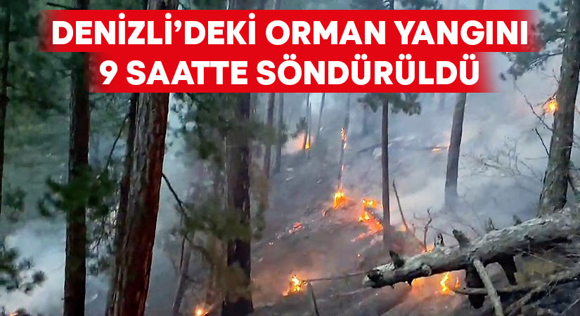 Denizli’de orman yangını 9 saatte söndürüldü