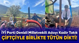 İYİ Parti Denizli Milletvekili Adayı Kadir Tatık, çiftçiyle birlikte tütün dikti!