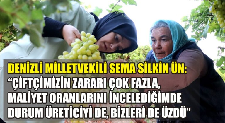 Denizli Milletvekili Sema Silkin Ün, üzüm bağlarında üreticiyle buluştu